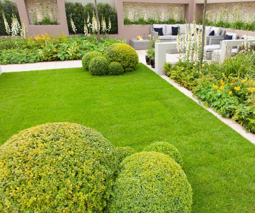 Landscaping & Hardscaping lawn 