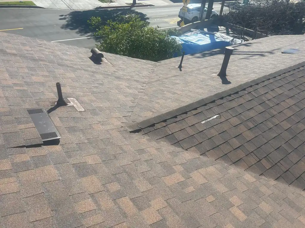 Close view of a new brown shingle roof with box vents, pipe vents and a hip, a blue tarp in the background